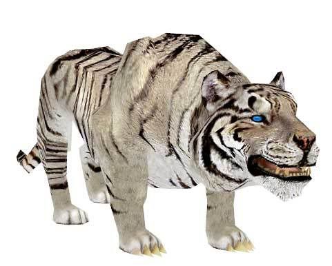 Les Objets de Rves....^^ White_Tiger