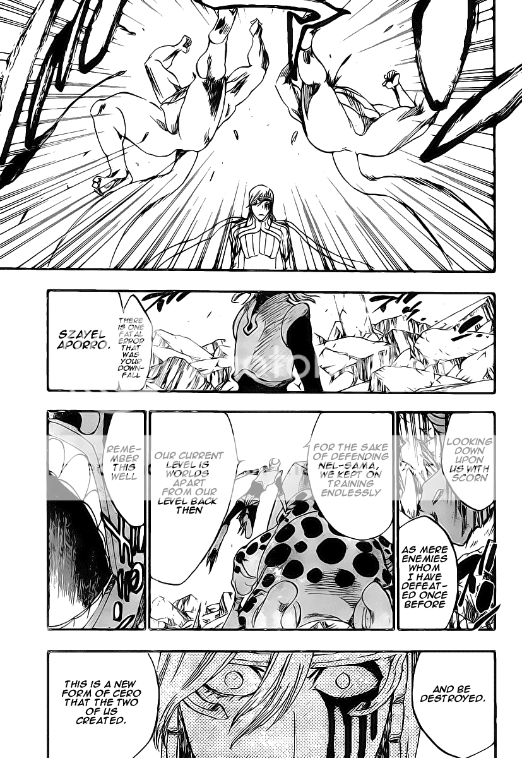 Chapter 296 - "Changed Again And Again" Bleach_296_pg15