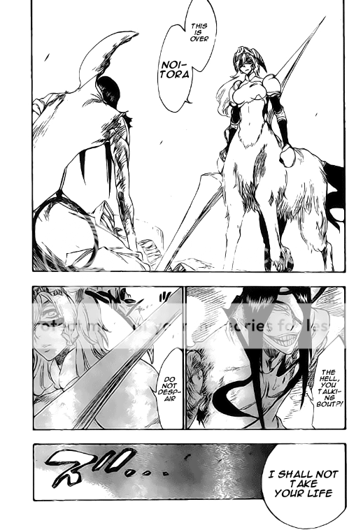 Chapter 296 - "Changed Again And Again" Bleach_296_pg17