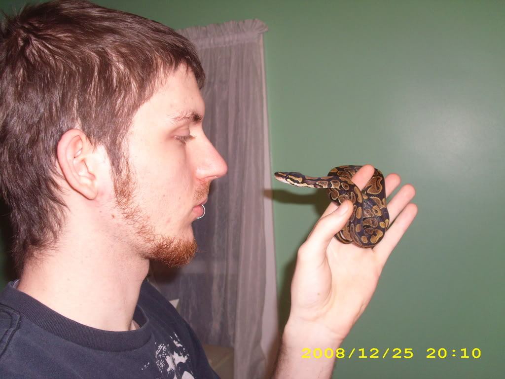 Getting a Ball Python DSCI1025