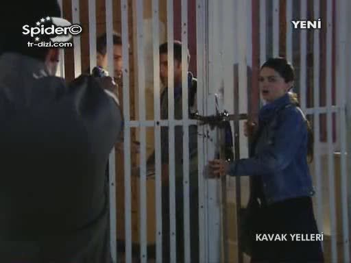 Kavak Yelleri 18-2