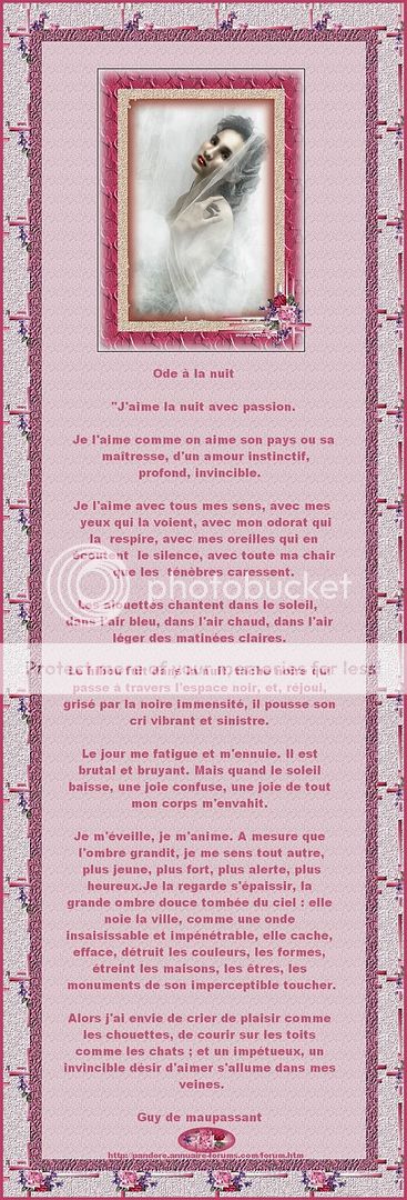 ARCHIVES DE POESIES ET TEXTES N° 1 - Page 16 00012