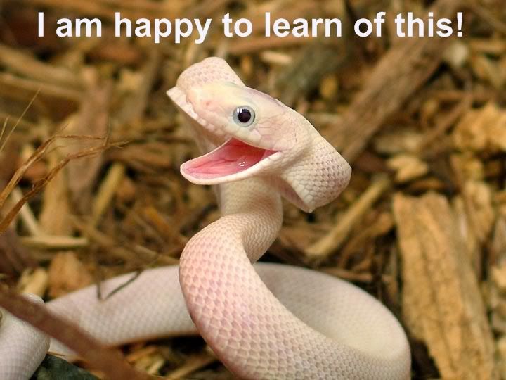 Other people Happysnake