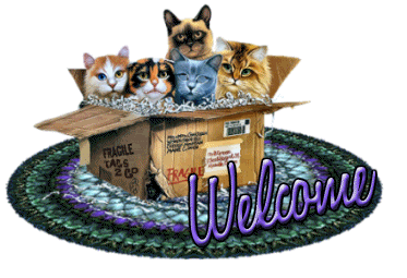 Hello .............. Welcome-Cat-Box