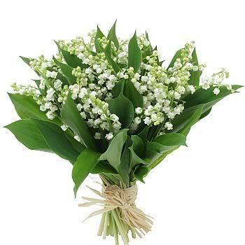 Bonjour Pandore Muguet06