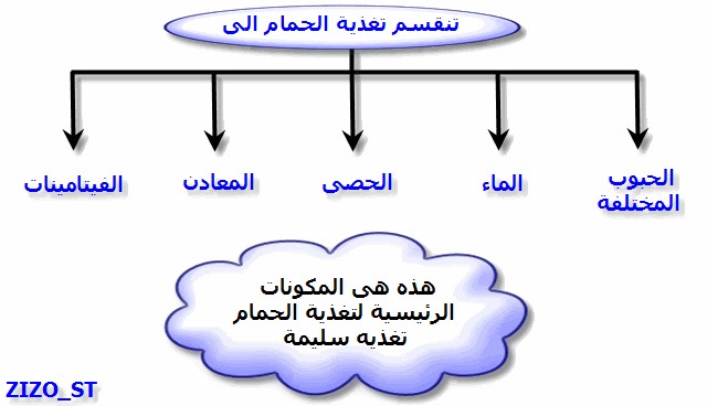  المكونات الرئيسية لتغذية الحمام (مدعم بالصور) Pigeonfeedingchart01