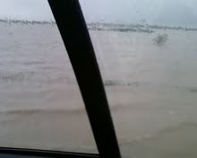 Pictures of the flood at my place Field6