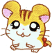 تقرير عن Hamtaro  Sandy