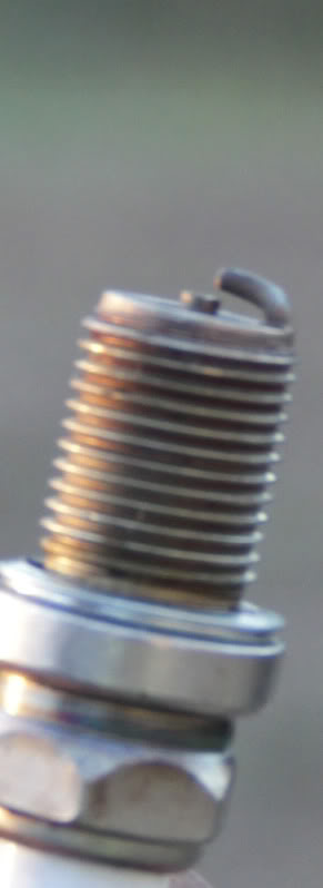 Lem , spark plug pics 20101014_4144