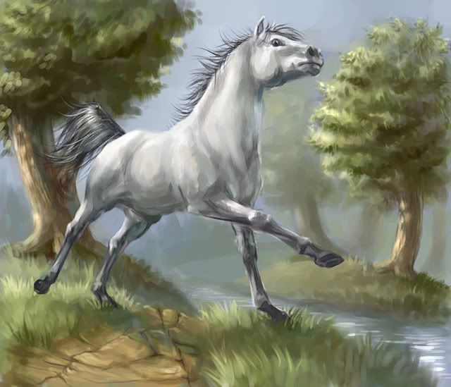 Mijenjanje  WRL slike Grey_horse