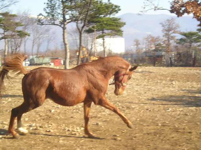 Ranch, 29-Pro-2007 P1010197