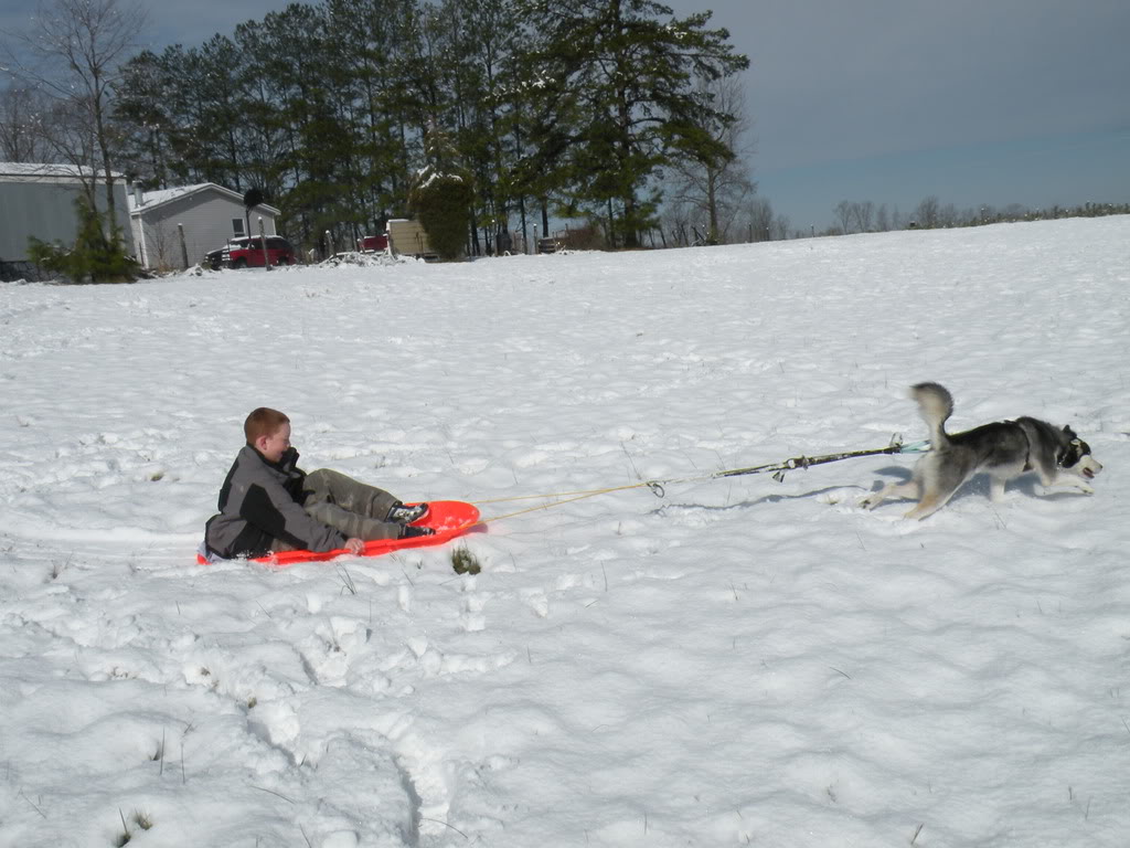 pics of avlanche playing in snow!!!! DSCN2340