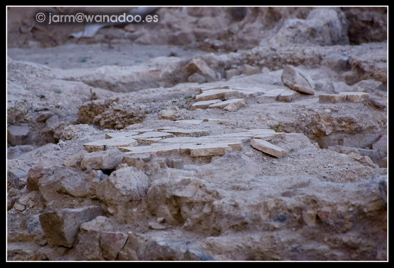 Cerro del Molinete 080919-MOLINETE-29