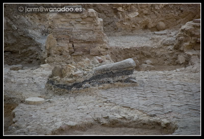 Cerro del Molinete 080919-MOLINETE-39