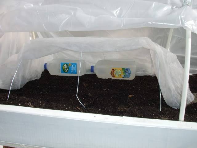 Hoop House Issue...How to Solve Please! - Page 3 DSCF4511