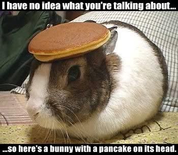 Dude.. OMGLOL! Pancake_bunny