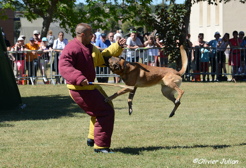 22 juin: JPO 68eme RAA La Valbonne DSC_7583_zps82bfd224