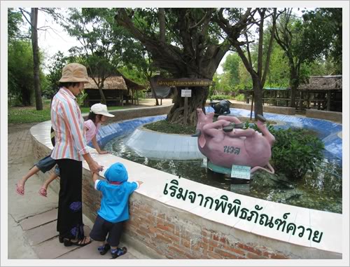 บึงฉวาก พิพิธภัณฑ์ควาย สุพรรณบุรี 1