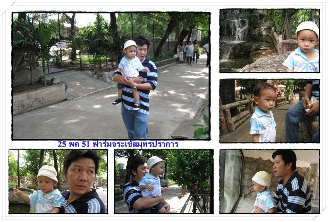 ฟาร์มจระเข้สมุทรปราการ 080525crocodilefarm3-1