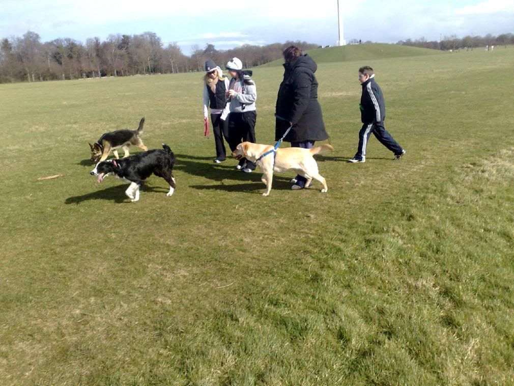 Sponsored Dog Walk 9th March 2008 - Page 2 09032008254