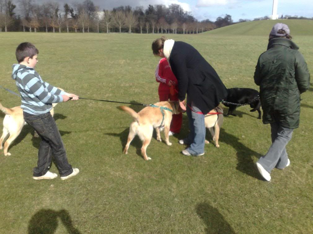 Sponsored Dog Walk 9th March 2008 - Page 2 09032008263