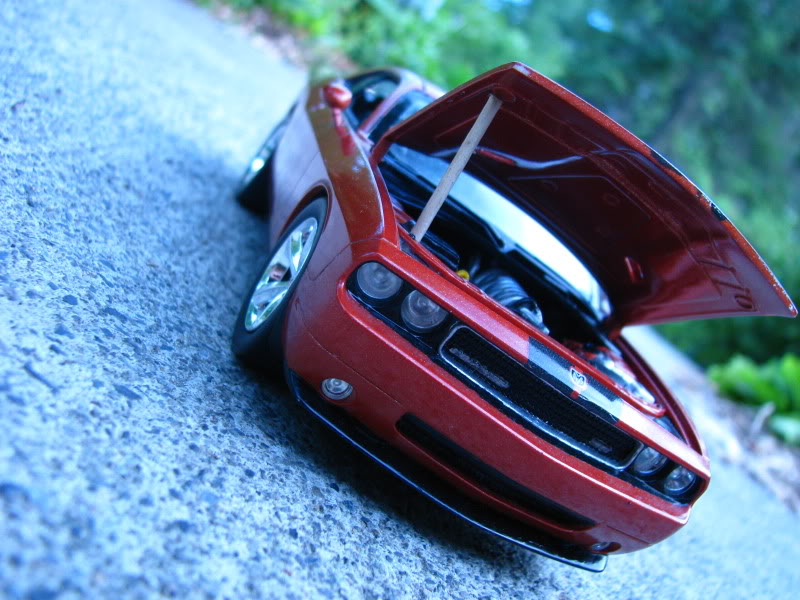 challenger srt-8 IMG_1528