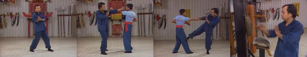  **-=Wing Chun=-** Wing1Panorama