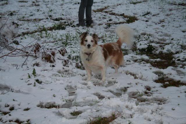 I am always leary of posting pics of my family and kids but.......We got snow!! [b]Pic intense!![/b] IMG_2871