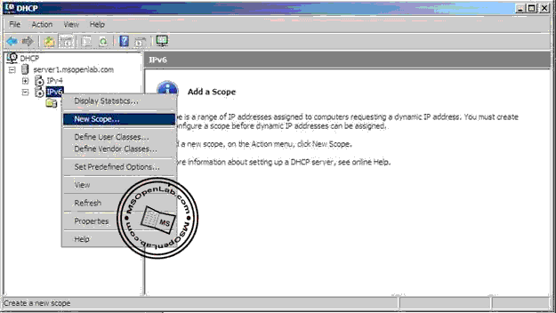 Internet Protocol Version 6 - Phần II: Triển Khai DNS & DHCP Trên Nền IPv6 Ip39