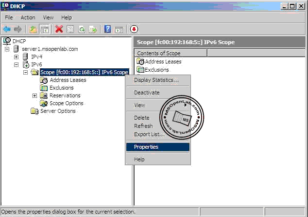 Internet Protocol Version 6 - Phần II: Triển Khai DNS & DHCP Trên Nền IPv6 Ip44