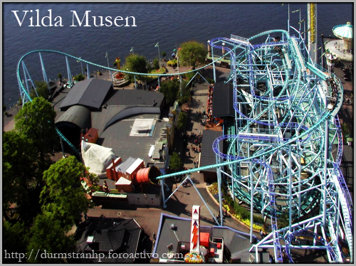 Vilda Musen Roller Coster VildaMusen