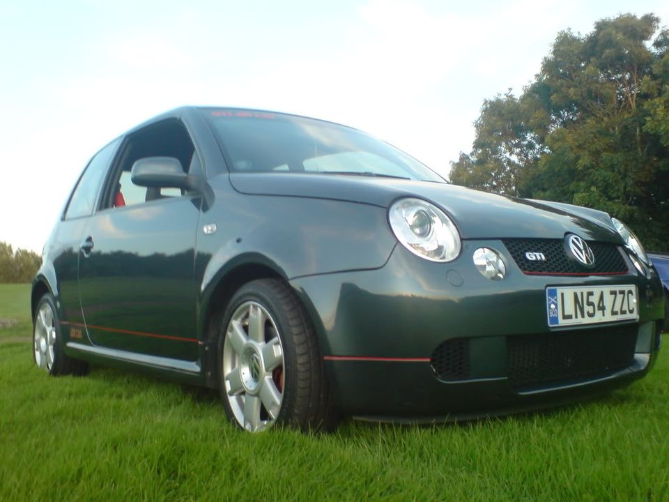 Stevie's Lupo DSC00102