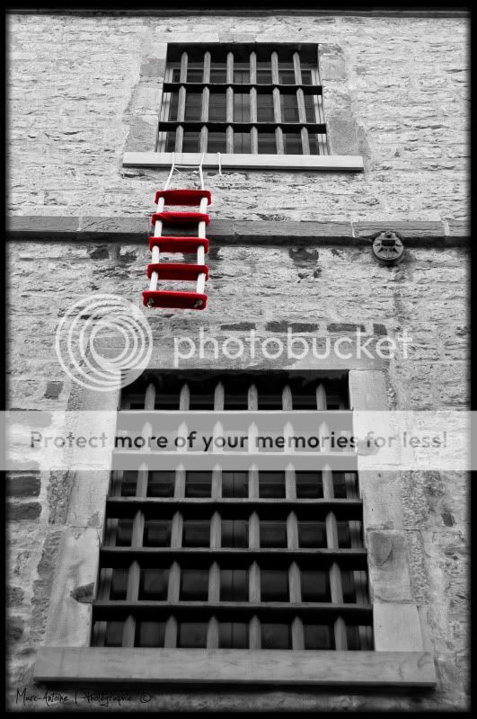 Thème de février: Escalier/Échelle/Marche IMGP1003