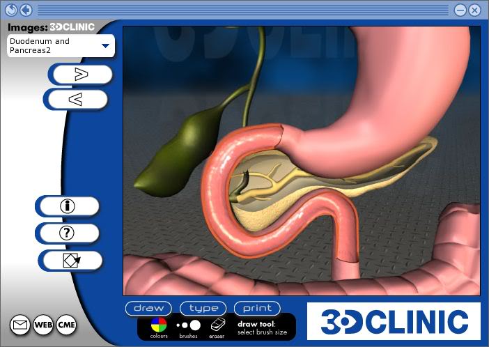 3D Clinic Professional(Full ISO) - V1.0 - Quan sát hình ảnh 3D cơ thể người 3d2