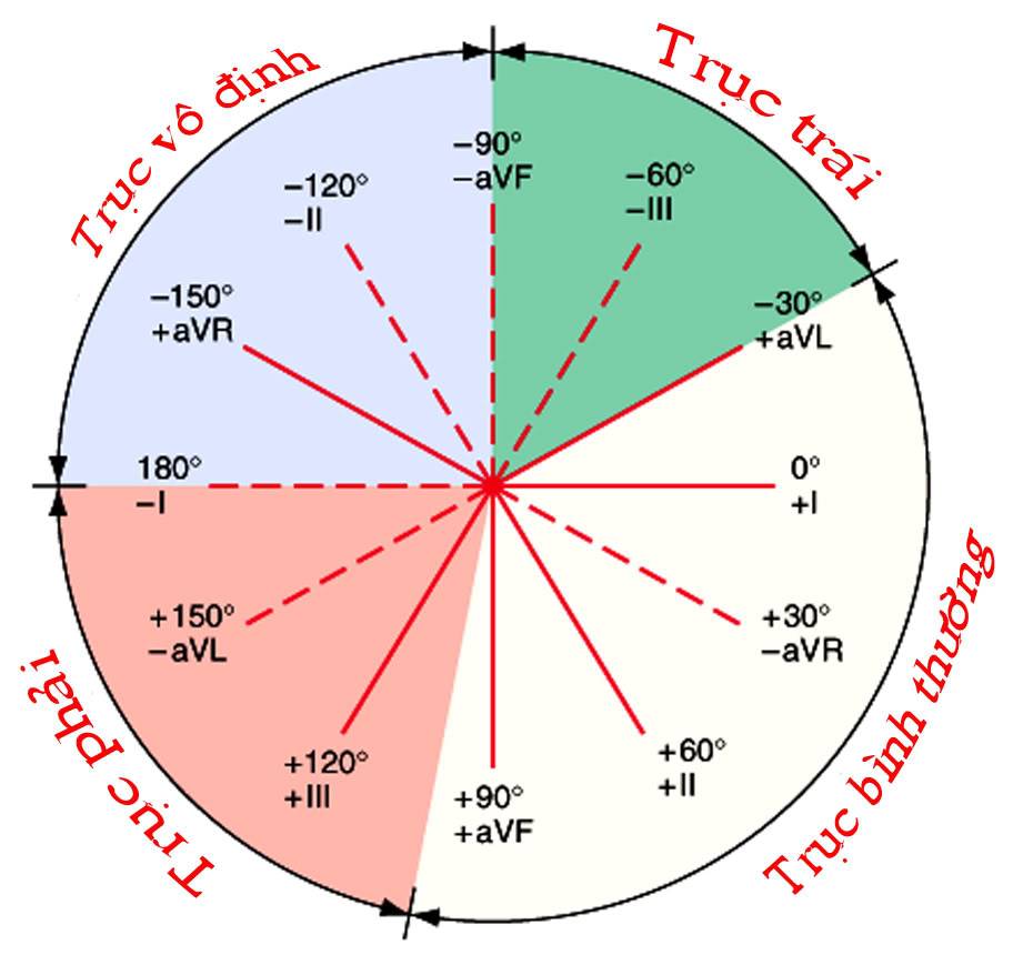 ĐIỆN TÂM ĐỒ – Chủ đề 3: RL dẫn truyền trong thất 4