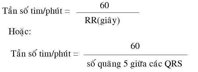 ĐIỆN TÂM ĐỒ – Chủ đề 3: RL dẫn truyền trong thất 7