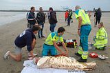 ZeeBrugge : Exercice secours cotiers (8/08/2017 + photos) Th_DSC_0273_tn