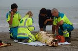 ZeeBrugge : Exercice secours cotiers (8/08/2017 + photos) Th_DSC_0307_tn