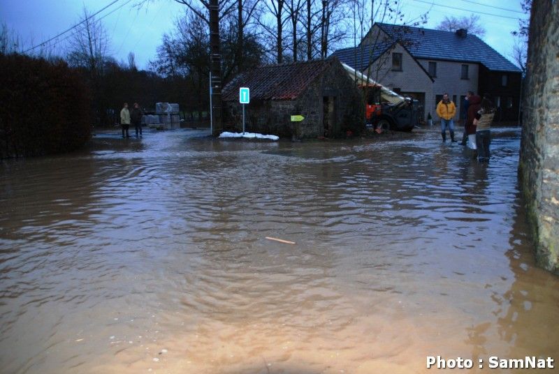 Alertes de crue sud du pays . Risques d'inondations (janvier 2011 + photos) Biesme7janvier_tn