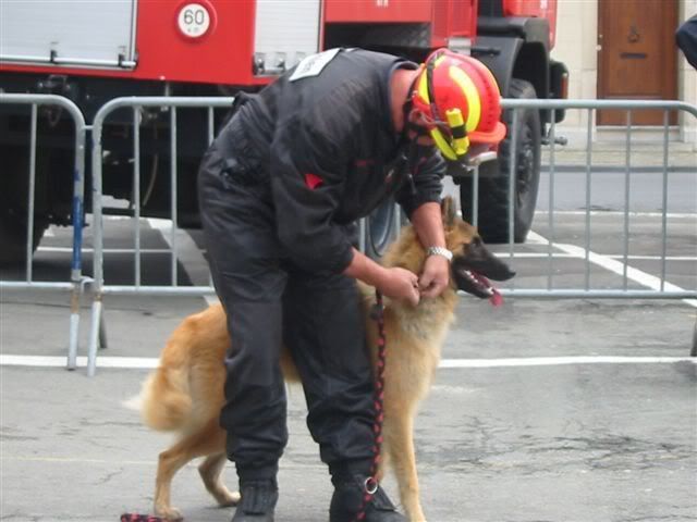 8/9 Rescue Dog Belgium au PO de Spa (+ photos) PortOuv.Spa046