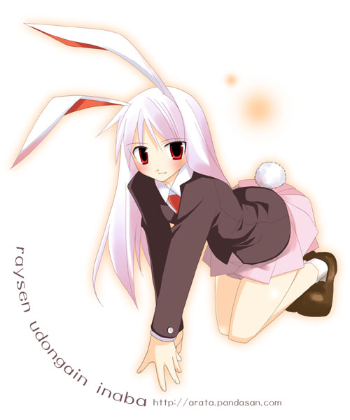 ~Taller de Rpc's~  Bunny