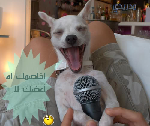 تعالو ! .... صور مضحكة مع التعليق ^_^ Fun25