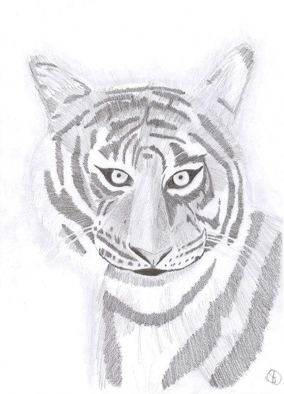 tekenen Tiger