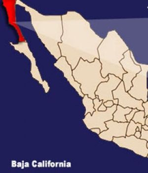 Sinaloa Contra La Familia en BC Mapa-tijuana-300x350