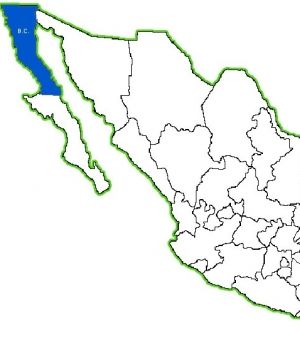 Sinaloa Contra La Familia en BC Baja-california-norte-300x350