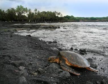 5 playas inusuales E_arena-negra