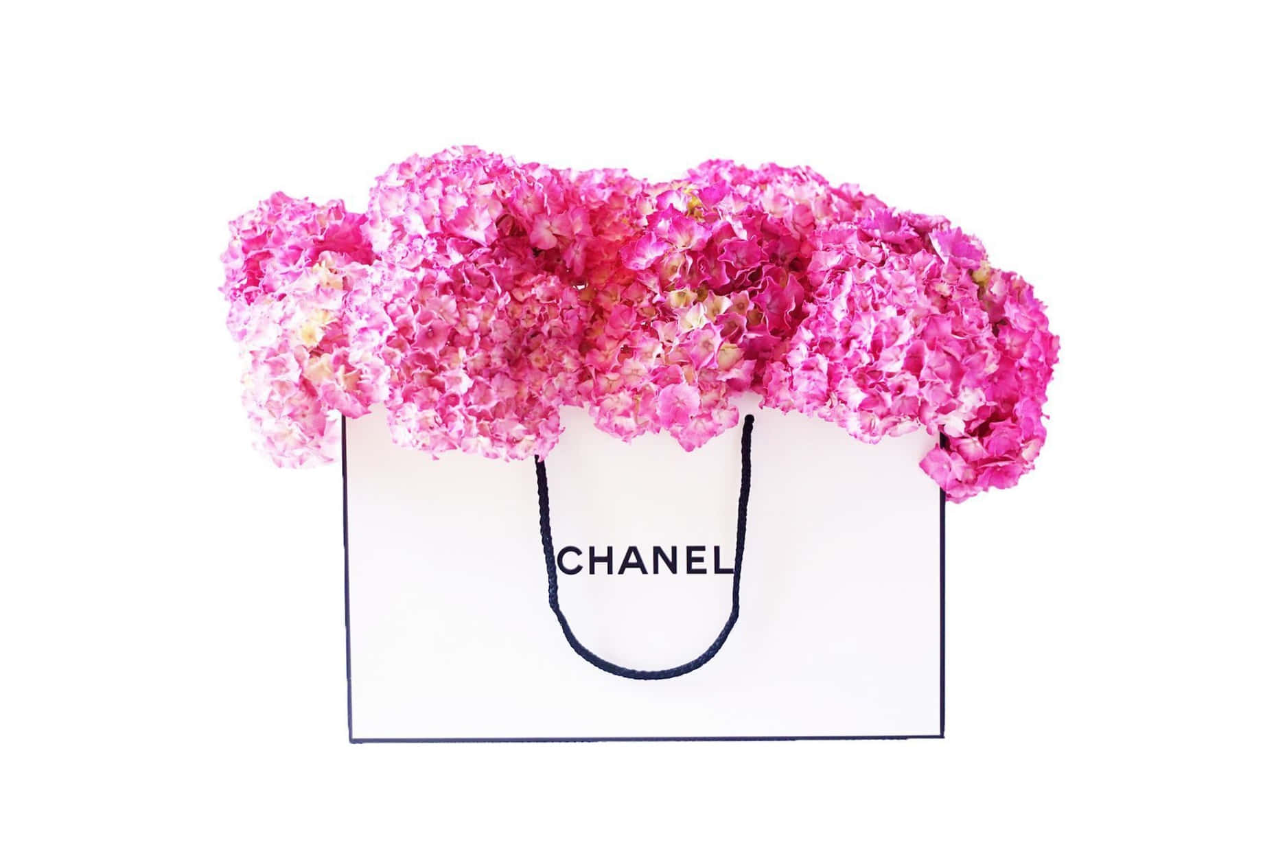 مجموعة صور لشنط من شانيل Chanel_bags_52