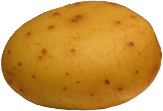 WANTED:Mr.Patato Potato