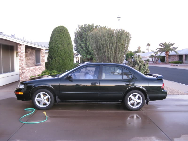 1998 Maxima SE 5spd from Phoenix, AZ SOLD 3-27-12 2011AZThanksgiving022