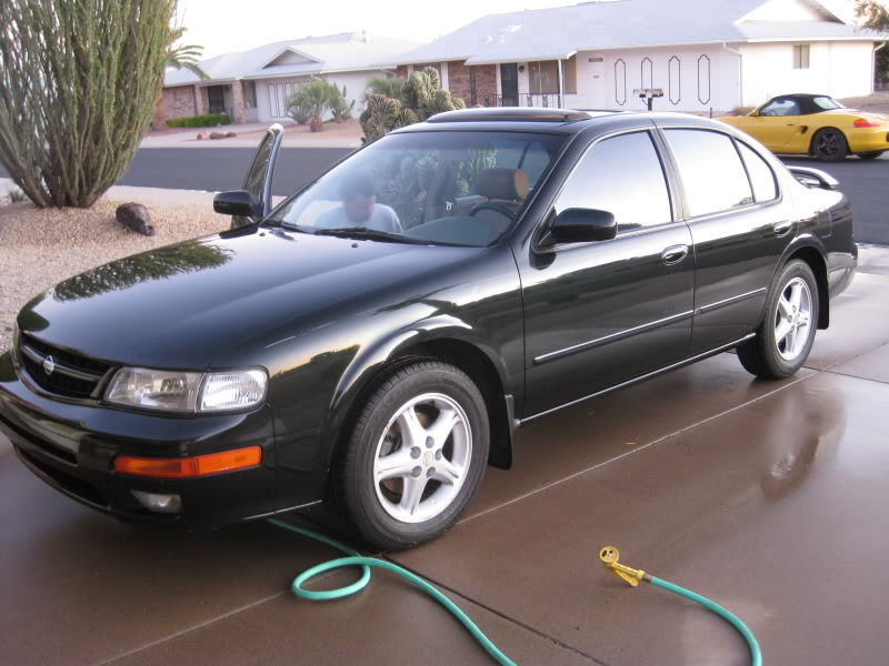 1998 Maxima SE 5spd from Phoenix, AZ SOLD 3-27-12 2011AZThanksgiving023